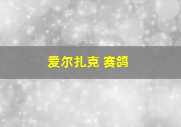 爱尔扎克 赛鸽